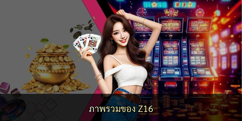 ภาพรวมของ Z16