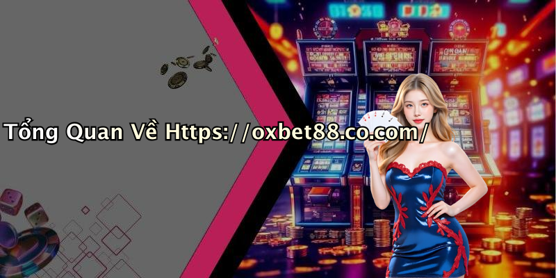 Tổng Quan Về Https://oxbet88.co.com/