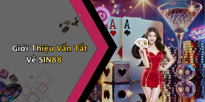 Giới Thiệu Vắn Tắt Về SIN88