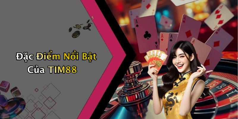 Đặc Điểm Nổi Bật Của TIM88